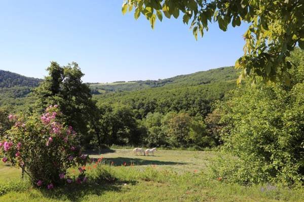 location-vacances-tarn
